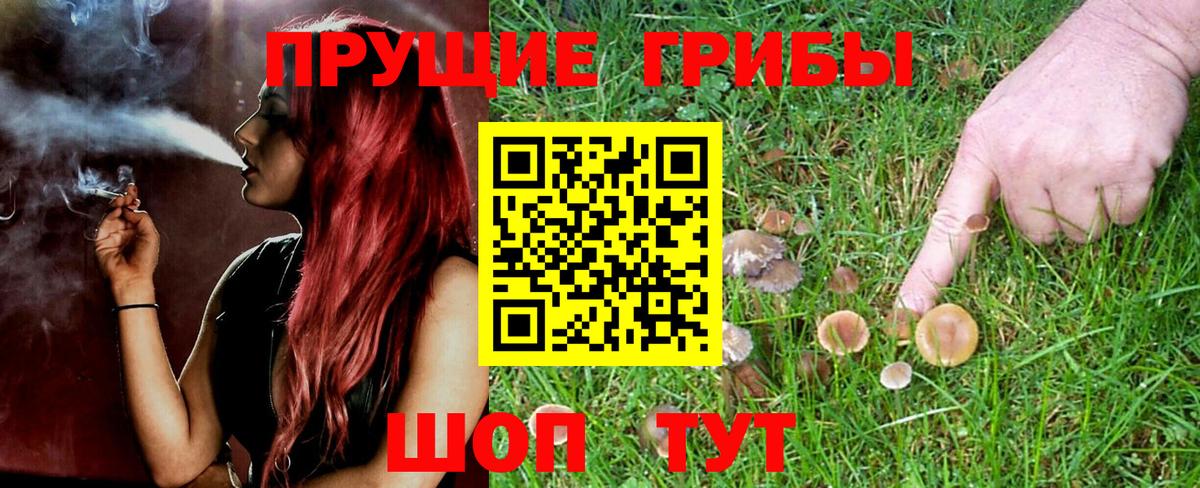 Галлюциногенные грибы мухоморы  Псилоцибиновые грибы Psilocybe  Долгопрудный  Вход с VPN 