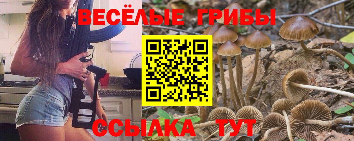 Псилоцибиновые грибы прущие грибы Долгопрудный